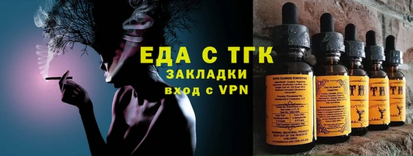 хмурый Арсеньев