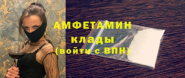 хмурый Арсеньев