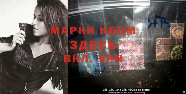 индика Армянск