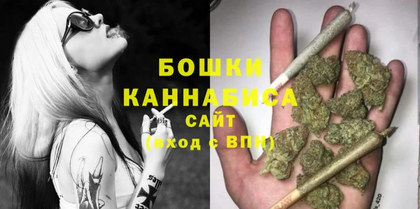 хмурый Арсеньев